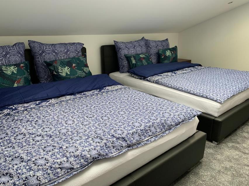 Look Of Dreams - Apartamenty Sloneczny I Ksiezycowy Będzin 外观 照片